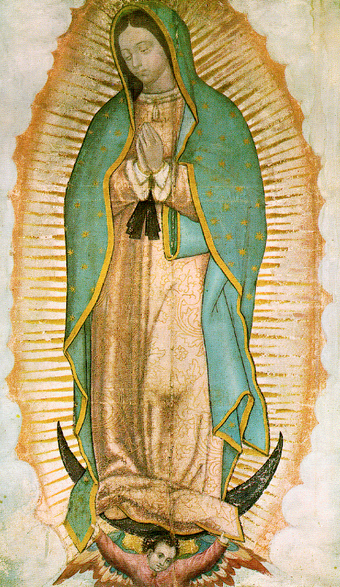 Nossa Senhora de Guadalupe Padroeira da América Latina